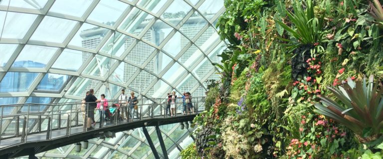 How Green Technologies Of The Future Are Being Built In Singapore thumbnail