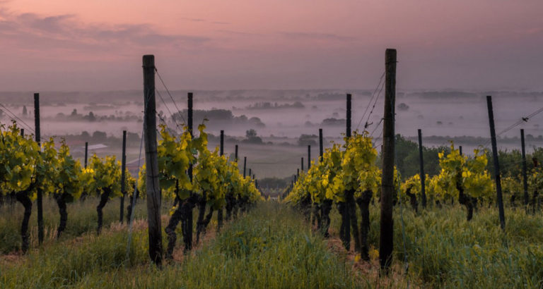 How The Yield is using IoT and Planet OS to shape the future of agriculture thumbnail