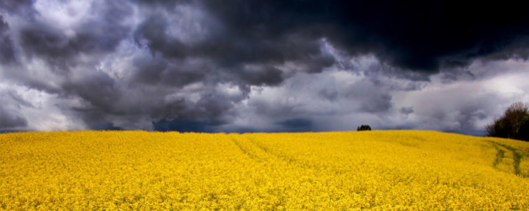 70 Years of Precipitation Data Now Available thumbnail