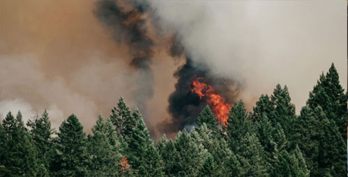 Fighting fire with forecasting thumbnail