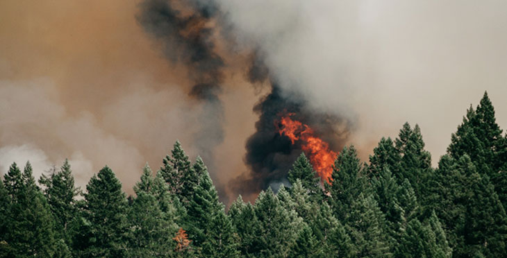 Fighting Fire with Forecasting thumbnail