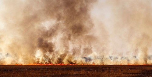 A closer look: the Impact of the CA Fires on air quality