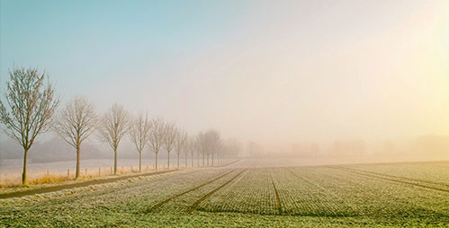 The evolution of forecasting thumbnail