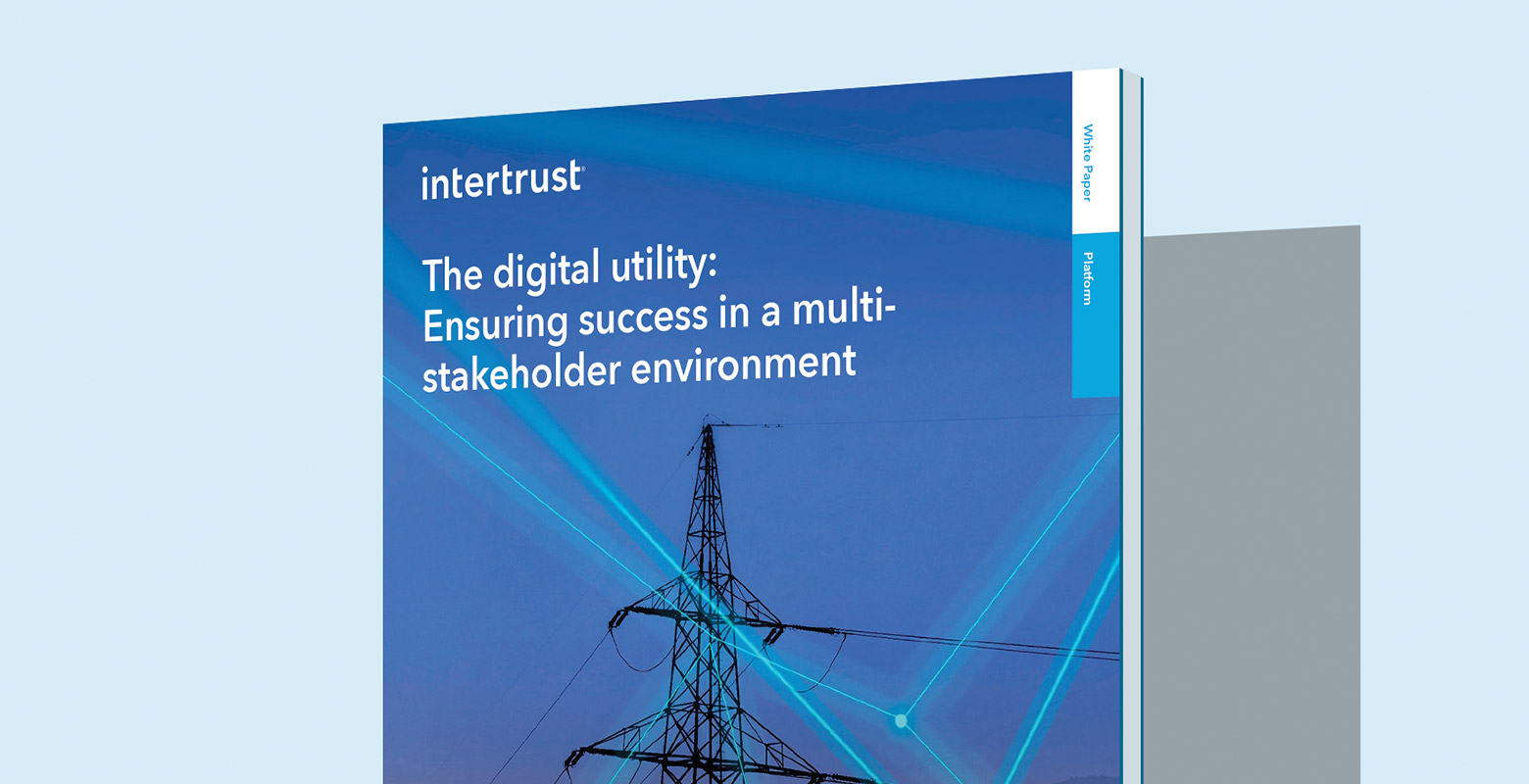 The Digital Utility: Ensuring success in a multi-stakeholder environment hero graphic