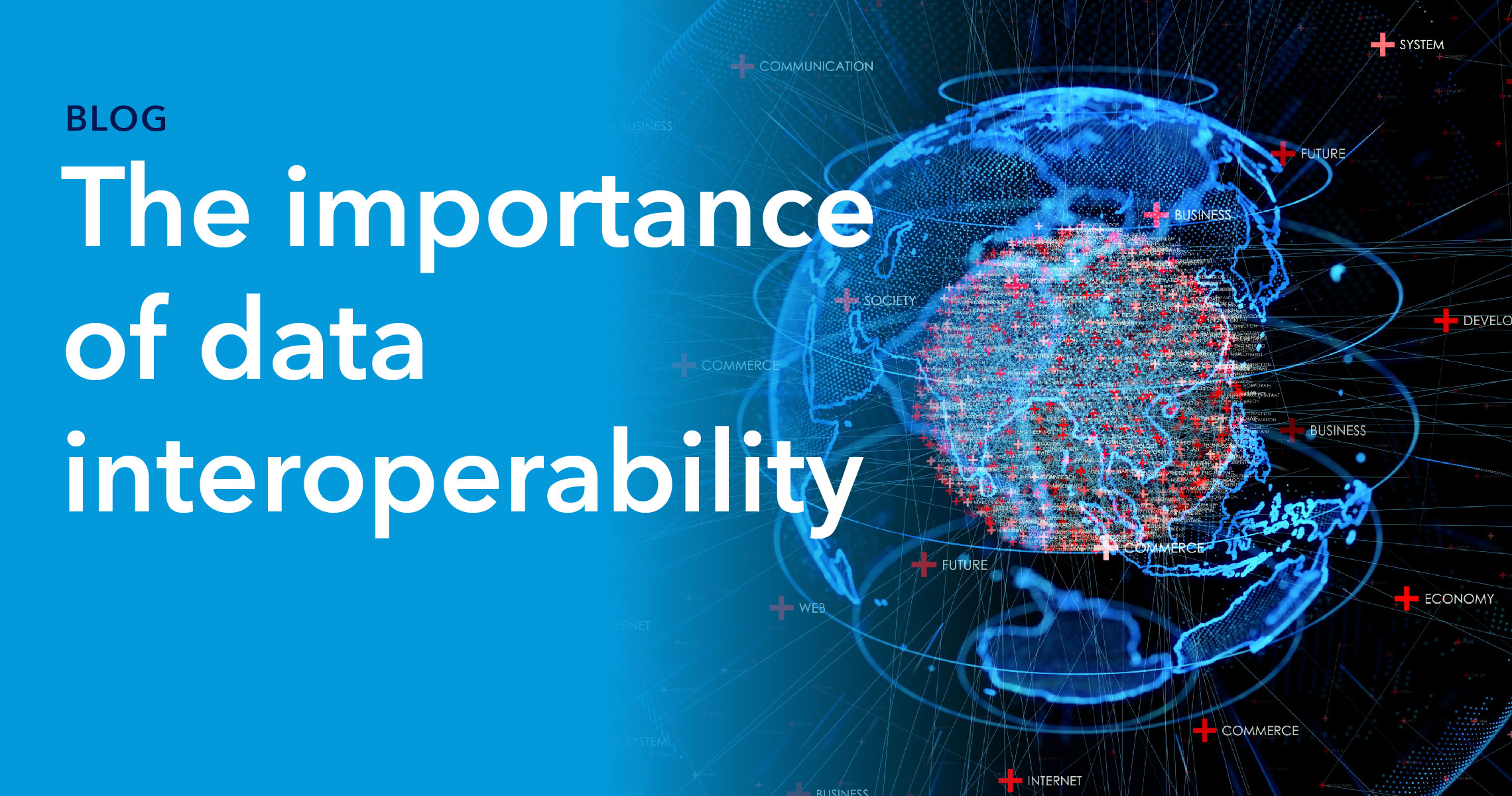 Blog Header- The importance of data interoperability