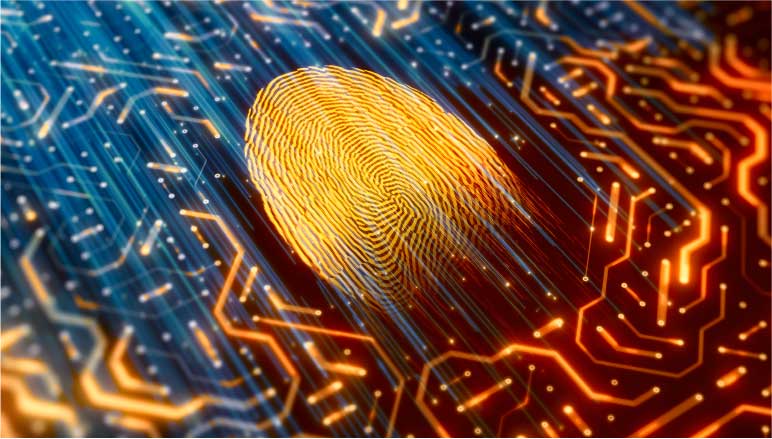 Securely share data with partners, customers, and key stakeholders. under hero graphic