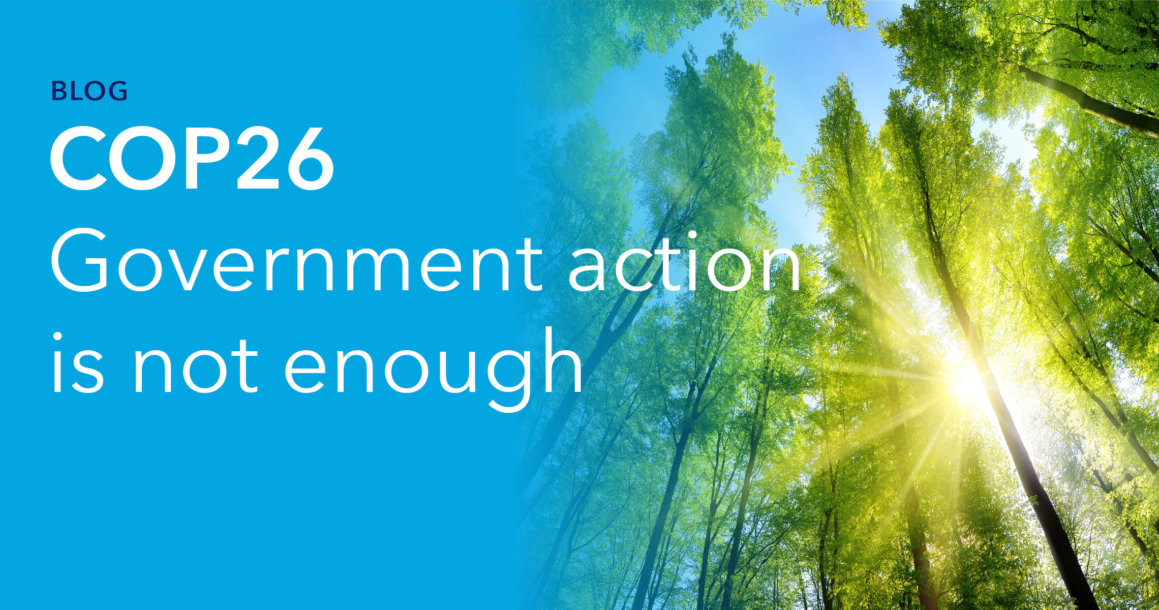 Blog header - COP 6 - Government action is not enough