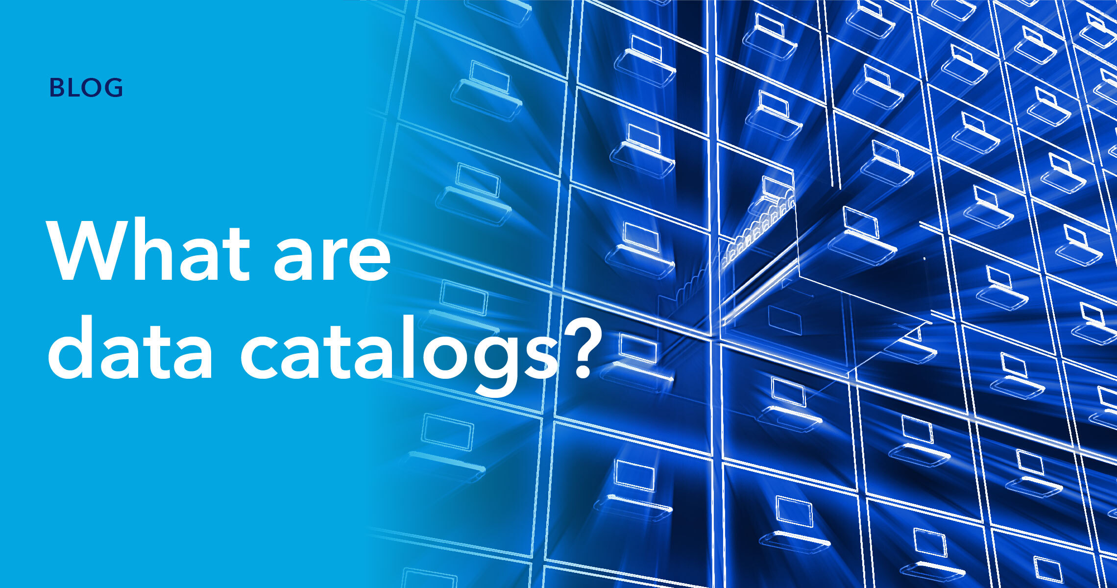 Blog header - what are data catalogs?