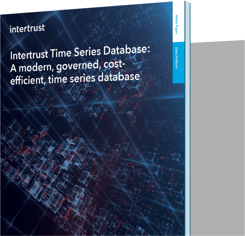 Intertrust Platform Time Series Database